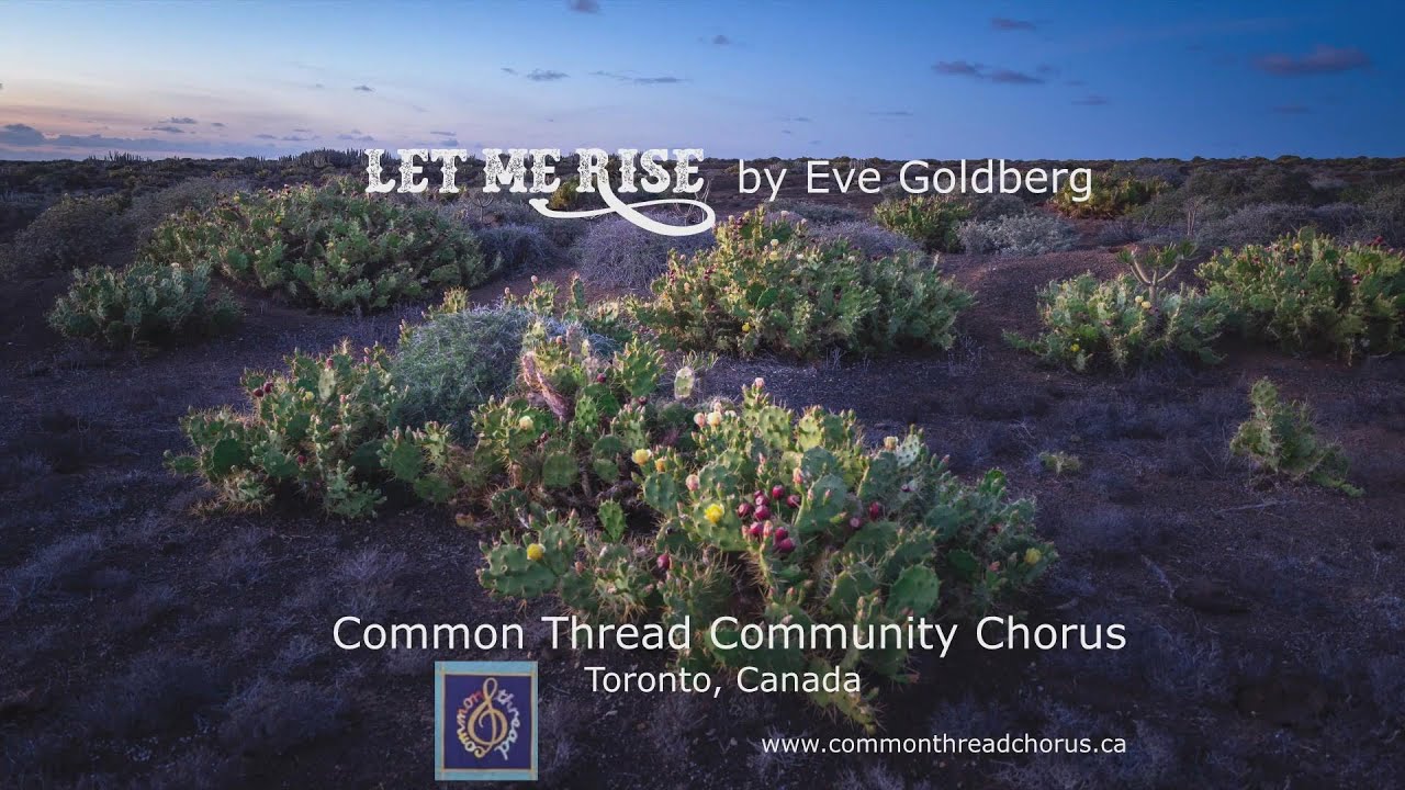 Let Me Rise by Eve Goldberg