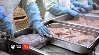 Episod 2 – Ketahui cara pemprosesan produk makanan McDonald’s Malaysia