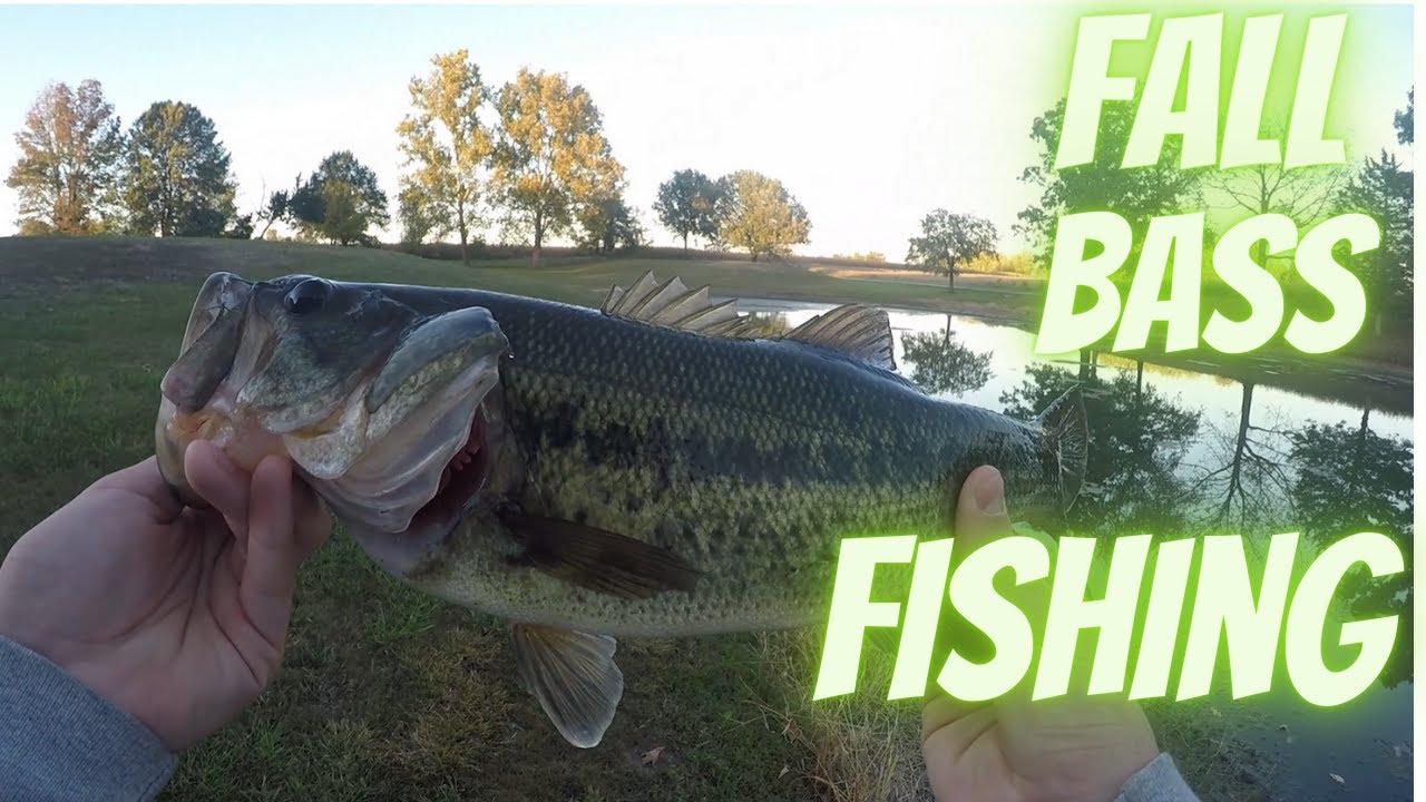 FALL IS HERE (Bass Fishing)