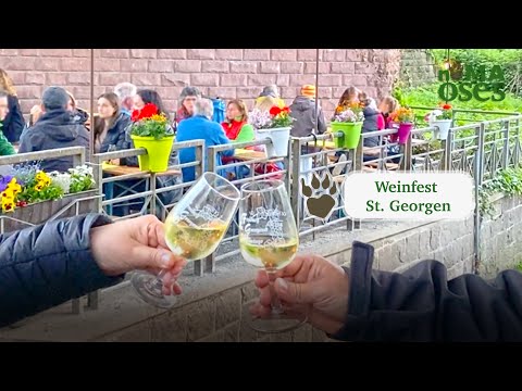 Video: Fiestas del vino en Alemania