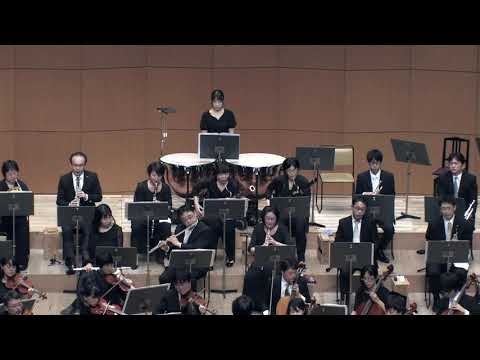 ブロカートフィルハーモニー管弦楽団第41回定期演奏会　ベートーヴェン 交響曲第7番　第三楽章