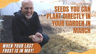 Seeds you can plant directly in your garden in March | If your last frost is in May!