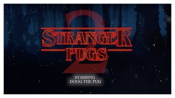 Stranger Pugs 2 - Doug The Pug
