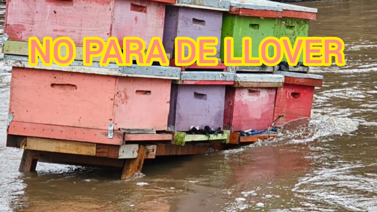 NI LLUVIA NI OSCURIDAD..NO HAY QUE PARAR.