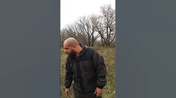 Случай с медведем, как я его с головы вырубил