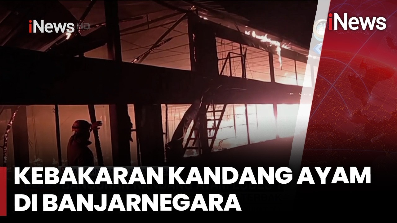 Kebakaran Peternakan Ayam di Banjarnegara, Ribuan Ayam Mati  | iNews Pagi (10/3)