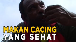 Tombelo adalah makanan mirip cacing yang menyehatkan | JELANG SIANG