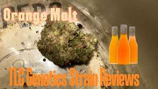 The TLC Genetic Show : Orange Malt (Strain Review)