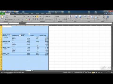 Copying and Pasting into other Worksheets - 2010 Excel Pivot Tables