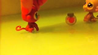 Lps Randomness part 1!