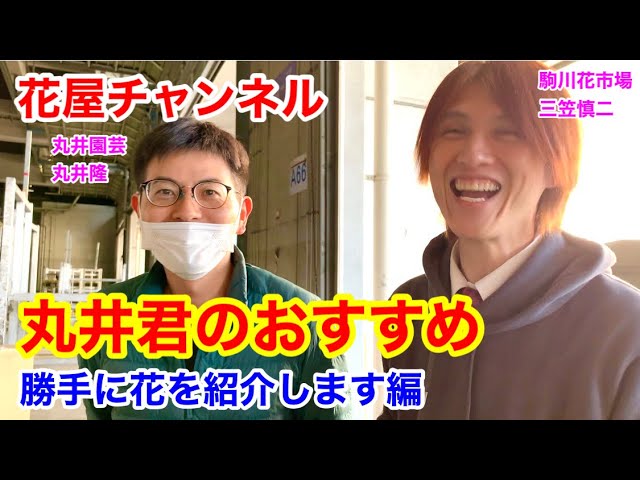 鉢植え 勝手に花を紹介します 丸井園芸 丸井隆 Youtube