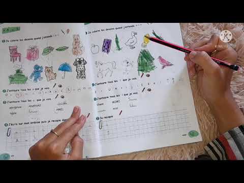 حلول أنشطة الصفحة 6 و 7 و 8 و 9 من الكتاب المدرسي للأنشطة سنة 3 إبتدائي