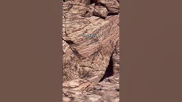 Ze deden het zo goed 👌💪 #redrockcanyon #lasvegas #usa #hiken #shorts