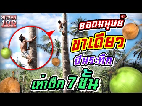 วีดีโอ: น้ำปีนขึ้นไปบนต้นไม้ได้อย่างไร?