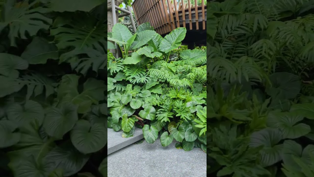 Dusit Central Park Part2 | Roof Park | Bangkok, 🇹🇭TH