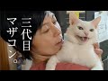 妻に夢中の、元迷い猫。