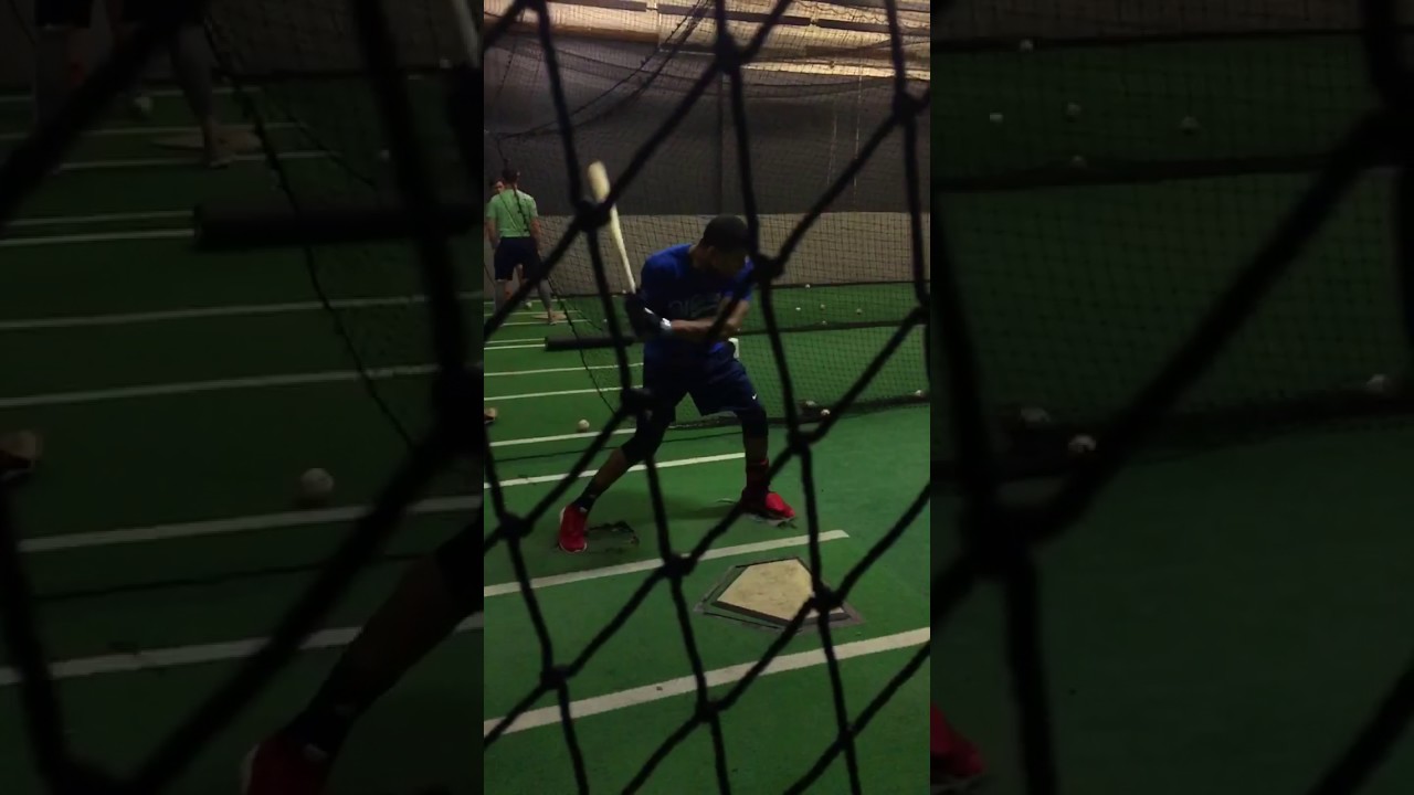 hitting the gym HARLEM BASEBALL HITTING ACADEMY