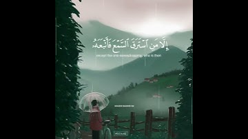 قران كريم -بصوت عمر شميم |حالات واتس اب دنينه