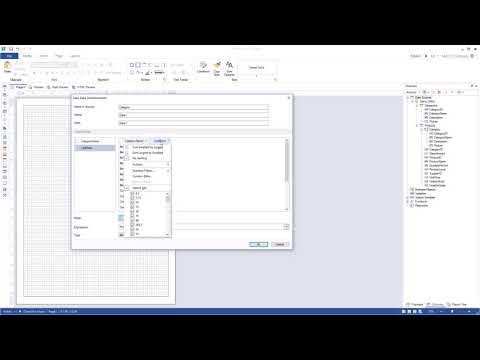 WinForms Reporting Tools: Data Filtering in Data Transformation [Shot on v2018]