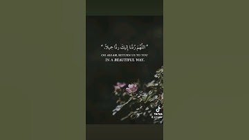 سورة المزمل