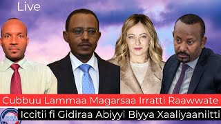Cubbuu Lammaa Magarsaa Irratti Raawwate;  Iccitii fi Gidiraa Abiyyi Biyya Xaaliyaaniitti Profile