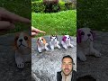 Alibaba tool items new gadgets cute 🥰 puppy 🐶 dog #trendingshorts
