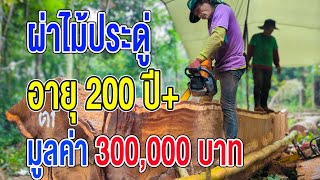 ผ่าไม้ประดู่ อายุ 200 กว่าปี มูลค่า 300,000 บาท