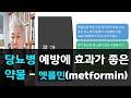 94.당뇨병 예방에 효과가 좋은 약물 - 멧폴민(metformin)