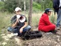 Daños ambientales por la supervía poniente