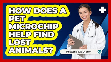 How Does A Pet Microchip Help Find Lost Animals? - PetGuide360.com