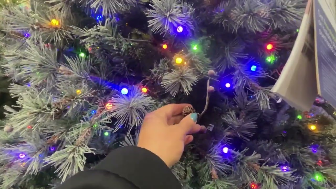 Lowe’s Christmas Trees 2025 🎄