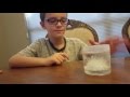 Kool science experiment growing glow crystals with the glow crystal growing kit
