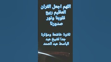 آيات بينات من الذكر الحكيم تلاوة عطرة #القرآن_الكريم #quran #explore #قران #اكسبلور #تيك_توك #ترند