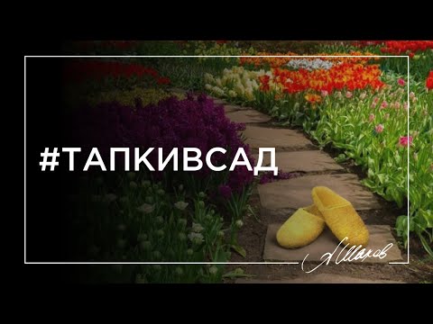 Как показать свою ценность обнаглевшему мужчине? Техника “Тапки в сад”