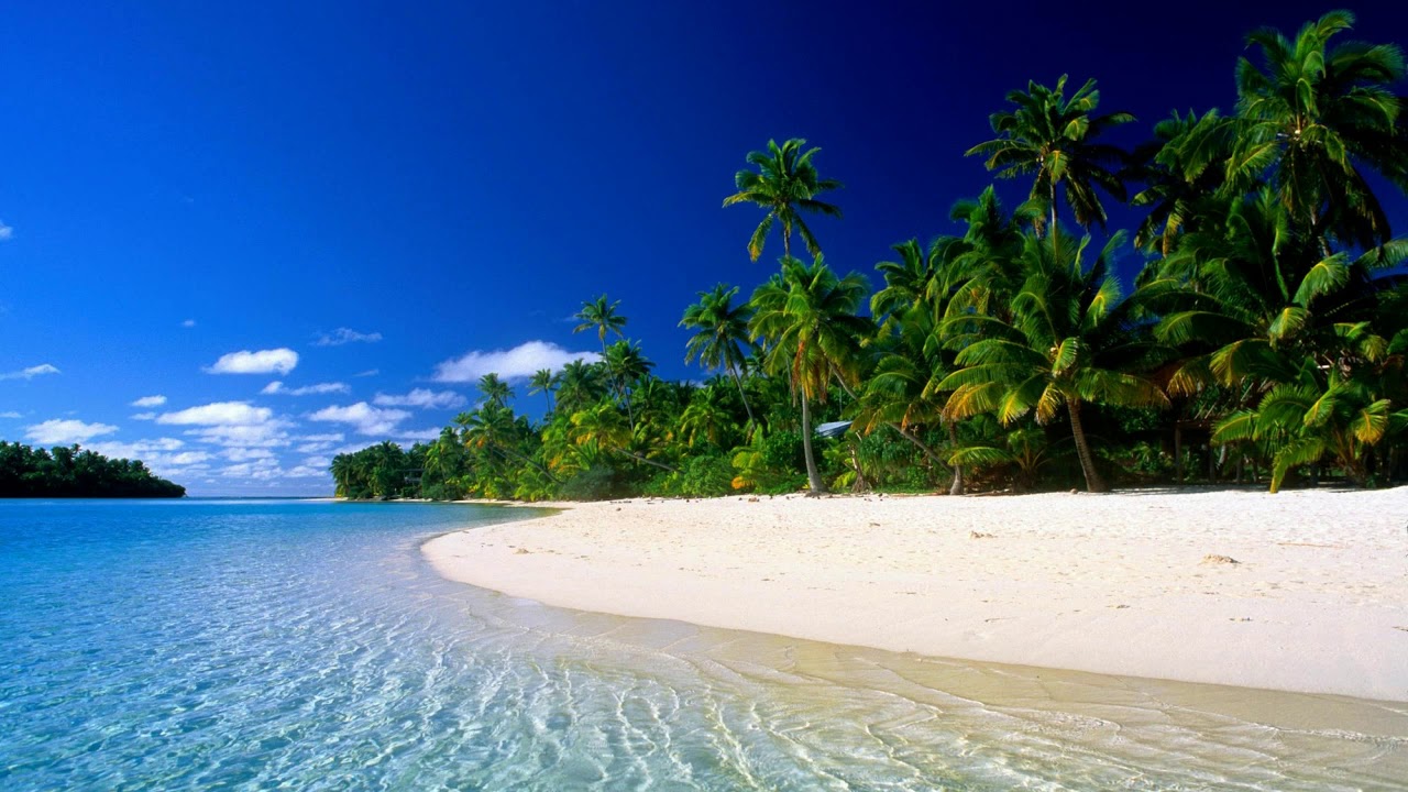 Watch BugZzy Beach Original Mix on YouTube Watch BugZzy Beach Original Mix on YouTube