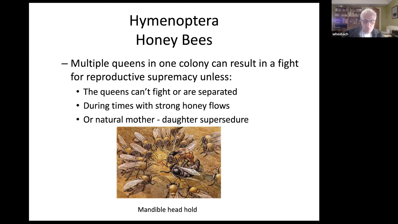 2020.12.02  Two Queen Systems