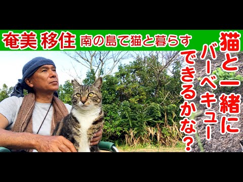 南の島で猫と暮らす。猫とバーベキューできるかな？。焚き火でバーベキュー、BBQ。田舎暮らしのスローライフ。ネコと田舎暮らし。猫との生活。奄美大島に移住。