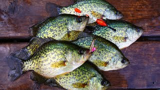 BLACK CRAPPIE CATCH AND COOK (SCHOOLING FISH!)
