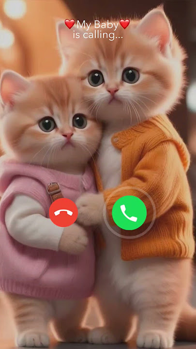 Mi telephone ringtone #calling #calls #ringtone #cats