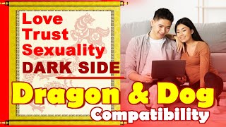 Dragon and Dog Compatibility in Love, Life, Trust, Intimacy | Dragon and Dog Zodiac Compatibility
