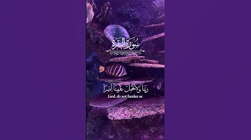35 ثانية راحة نفسية هدية لك عزيزي القران الكريم #المصحف #القرآن_الكريم #سورة#quran #اكسبلور #تلاوة