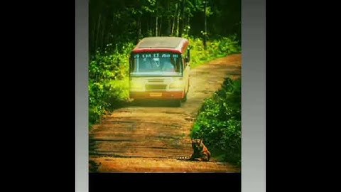 Ksrtc bus lovers and whatsapp status video
