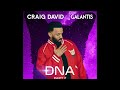 Craig David Galantis DNA Part 2 mp3