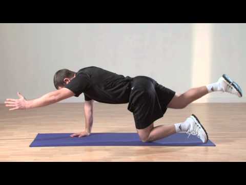 Quadruped Arm Opposite Leg Raise