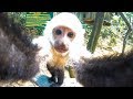 MONKEY TRIES TO STEAL MY CAMERA! (Travel Vlog)