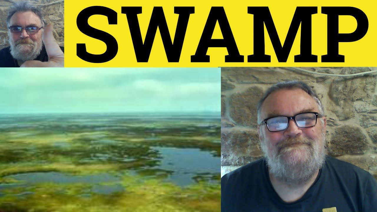 swamp-meaning-swamped-explained-swamping-examples-c2-english