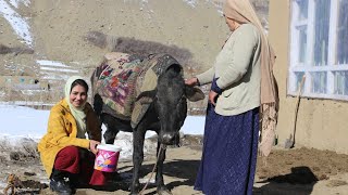 Real village life in Afghanistan | Afghanistan village life