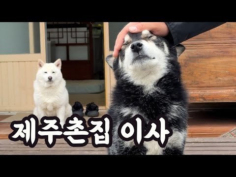 시골 <strong>촌집</strong> 연세살이 현실.. (월세 공개합니다)