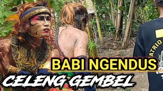 Ngamuk Celeng Gembel Ngendus Ngendus DiBelakang Panggung Jaranan New Manggolo Yudho