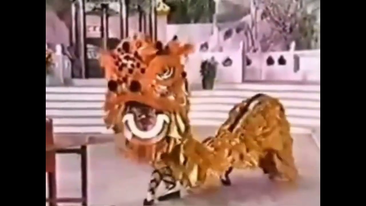 Lion Dance Lee Yun Fook on 1980 TV